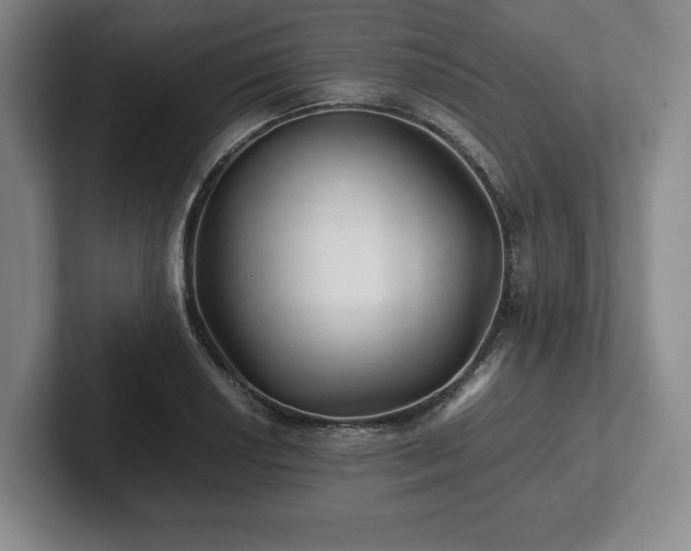 X0000101951034200807251130