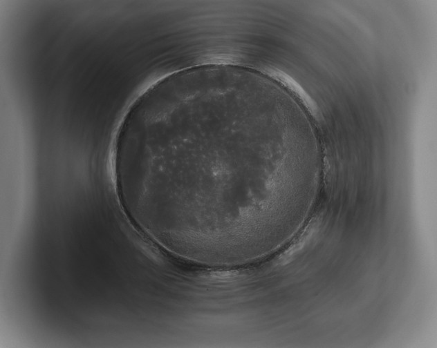 X0000101951035200807251130