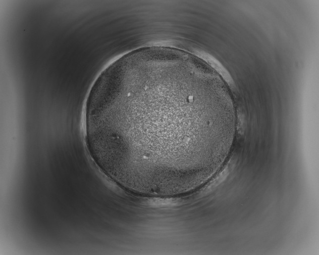 X0000101951036200807251130