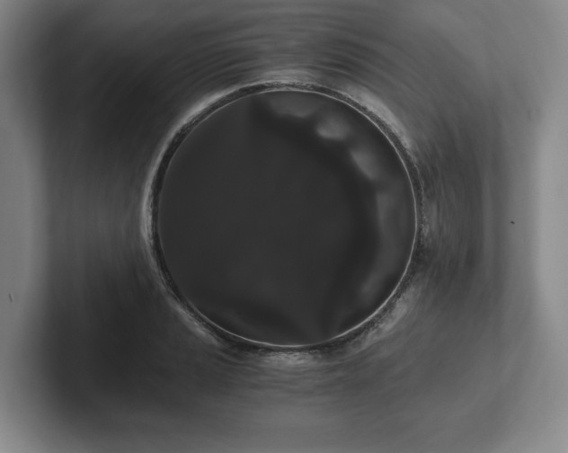 X0000101951037200807251130