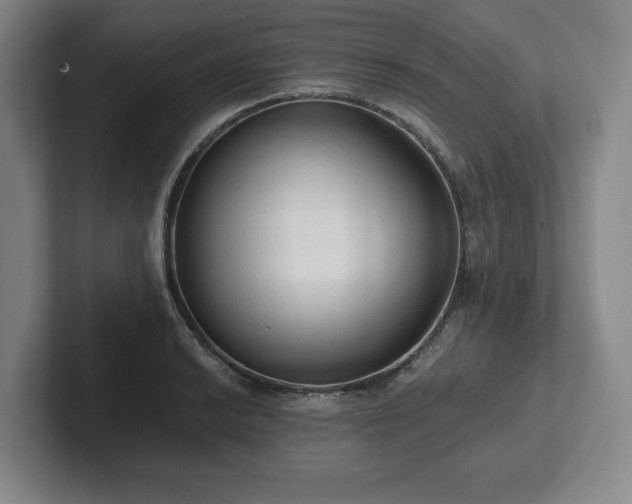 X0000101951038200807251130