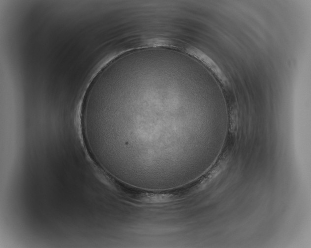 X0000101951039200807251130