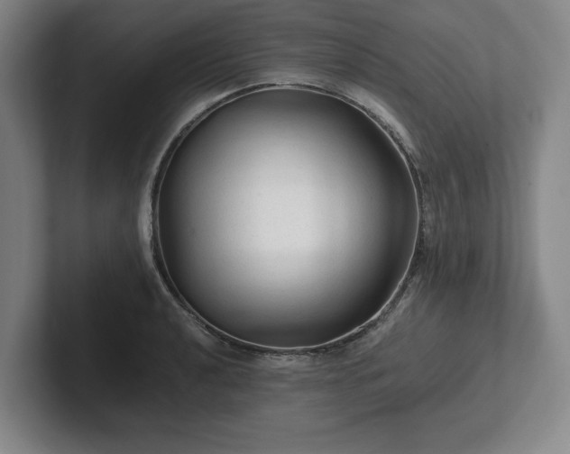 X0000101951040200807251130