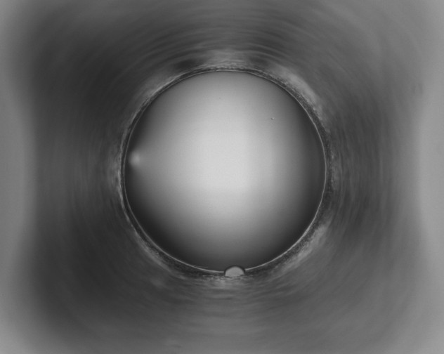 X0000101951041200807251130