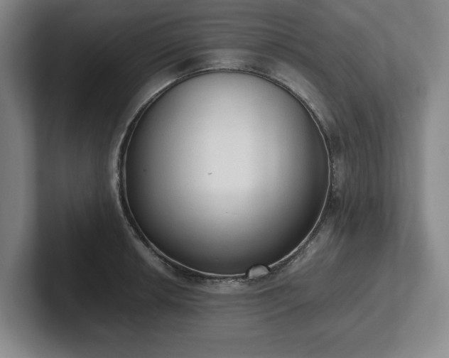 X0000101951042200807251130