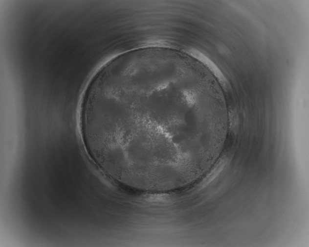 X0000101951043200807251130