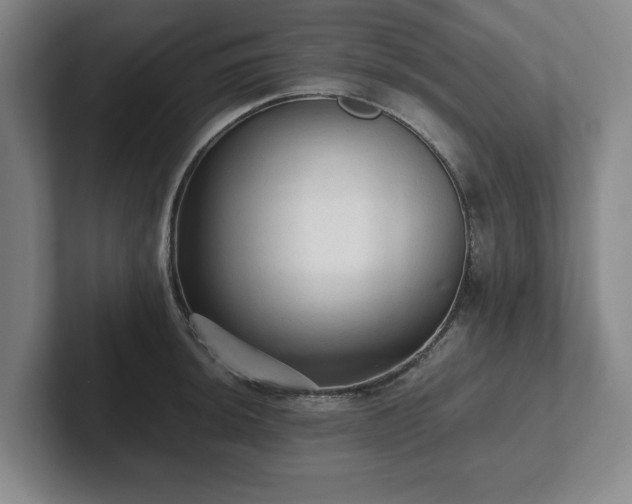 X0000101951044200807251130