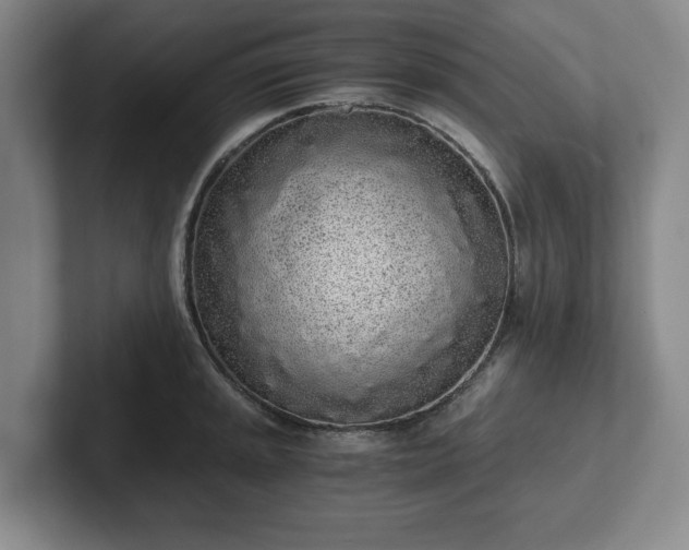 X0000101951045200807251130