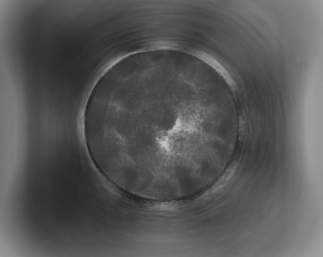 X0000101951047200807251130