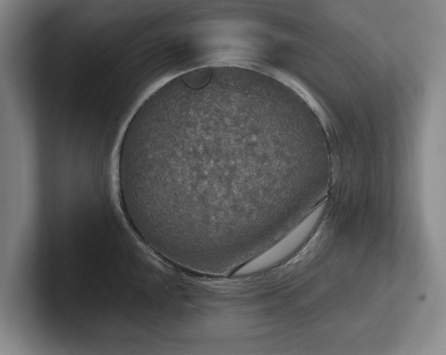 X0000101951048200807251130