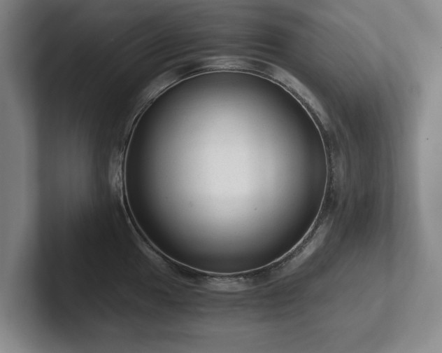 X0000101951049200807251130