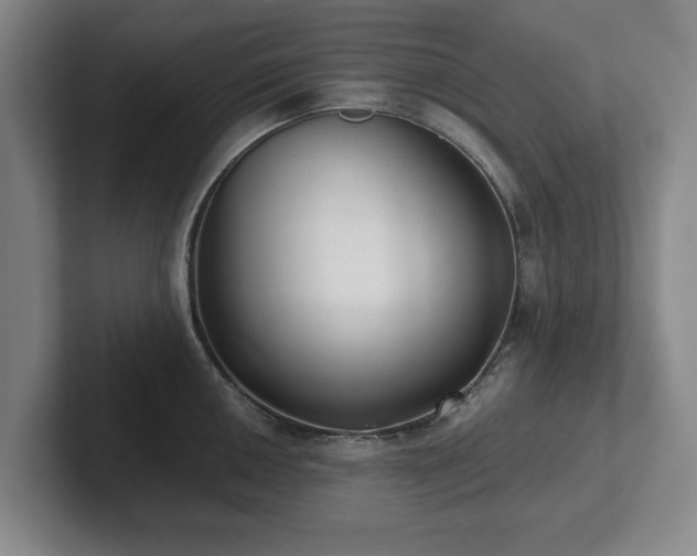 X0000101951050200807251130