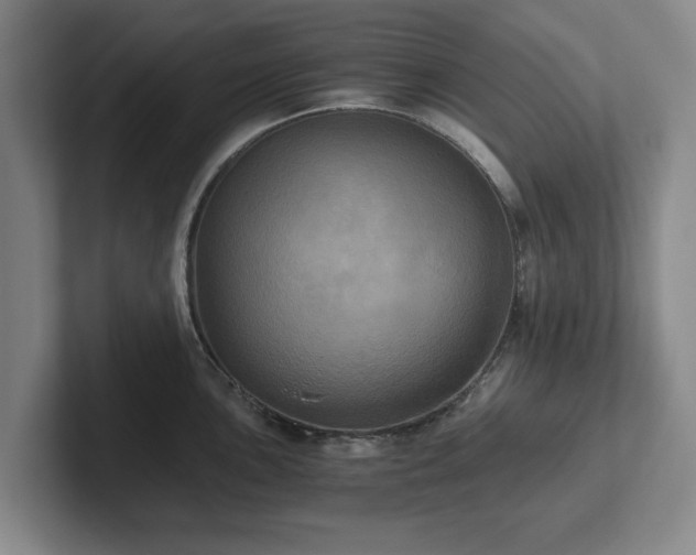 X0000101951051200807251130