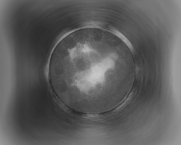 X0000101951052200807251130