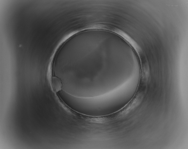 X0000101951053200807251130