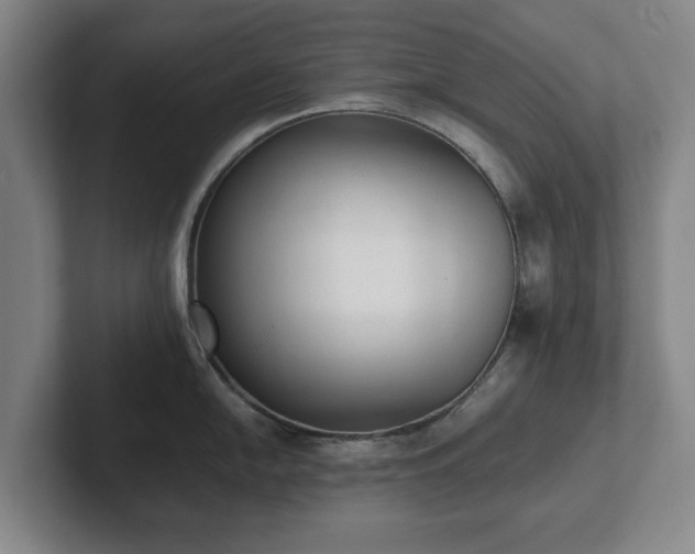 X0000101951054200807251130