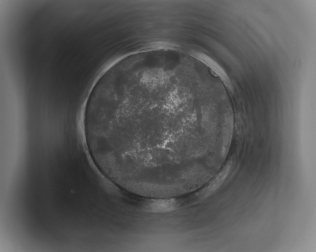 X0000101951055200807251130