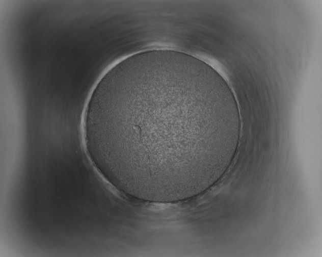 X0000101951056200807251130