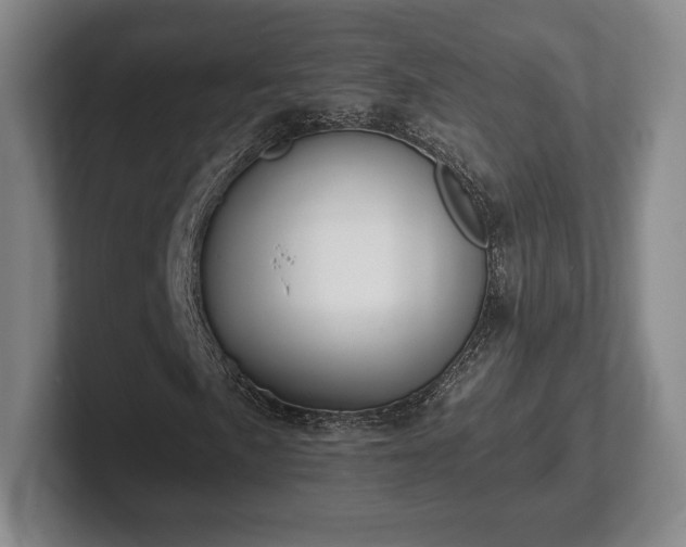 X0000101951057200807251130