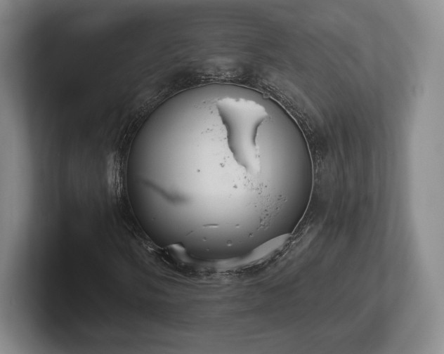 X0000101951058200807251130