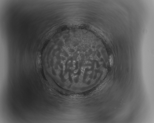 X0000101951059200807251130