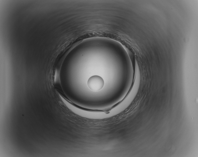 X0000101951060200807251130