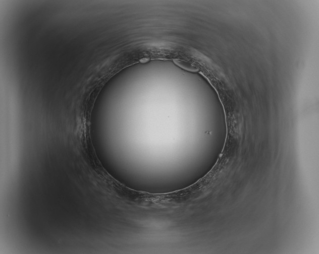 X0000101951061200807251130