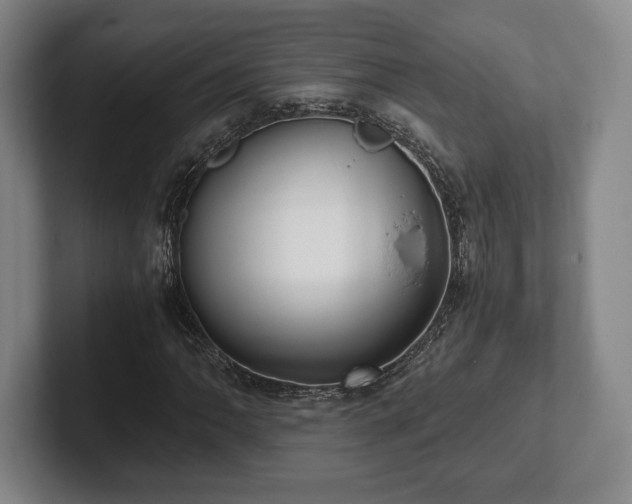 X0000101951062200807251130