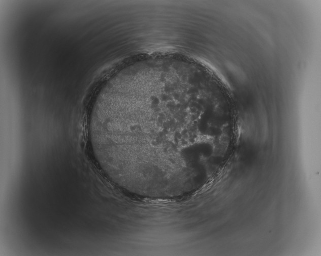 X0000101951063200807251130