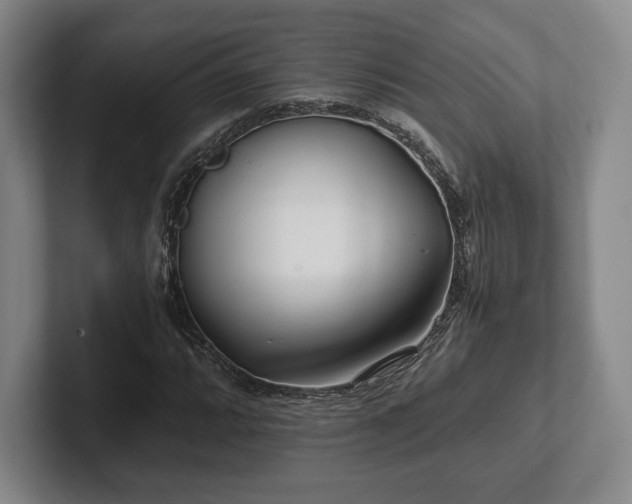 X0000101951064200807251130