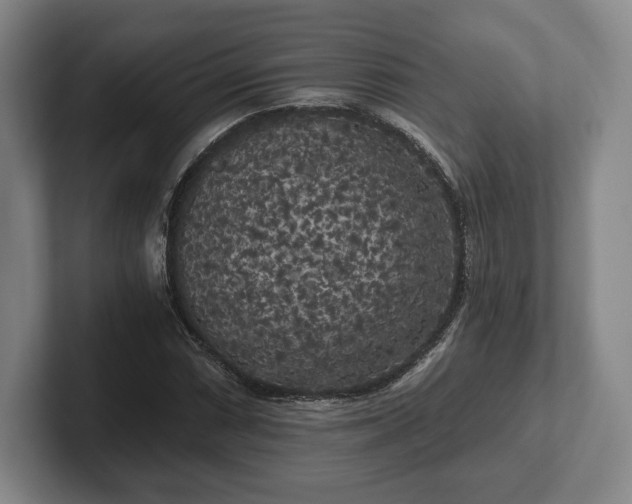 X0000101951066200807251130