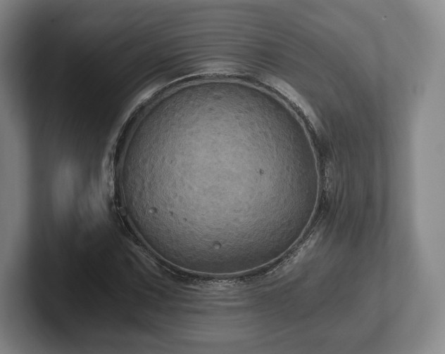 X0000101951067200807251130