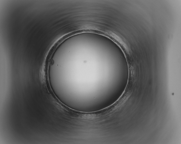 X0000101951068200807251130