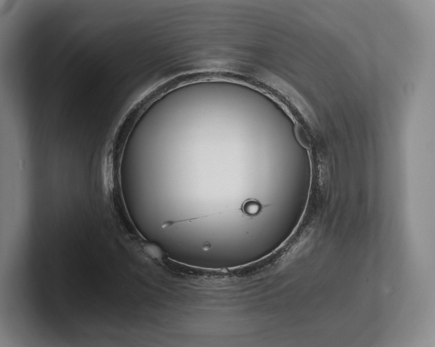 X0000101951069200807251130