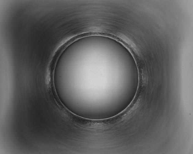 X0000101951070200807251130