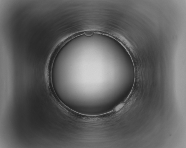 X0000101951072200807251130