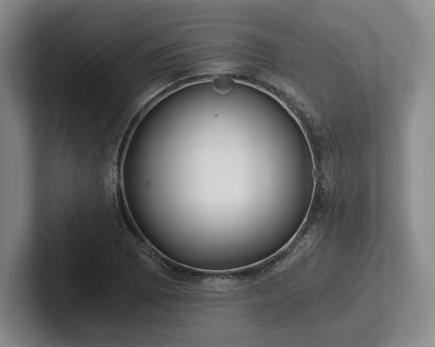 X0000101951073200807251130