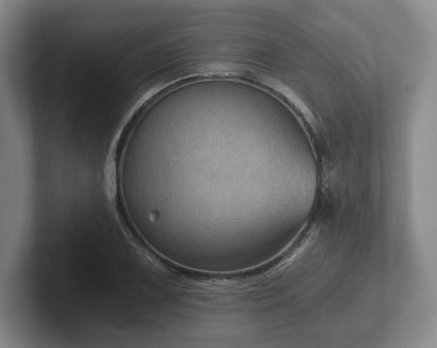 X0000101951075200807251130