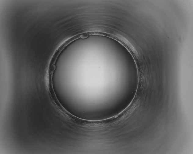 X0000101951076200807251130