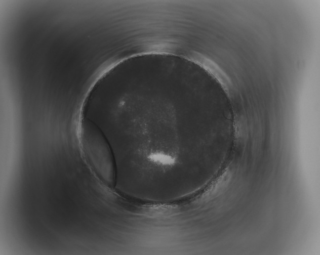 X0000101951077200807251130