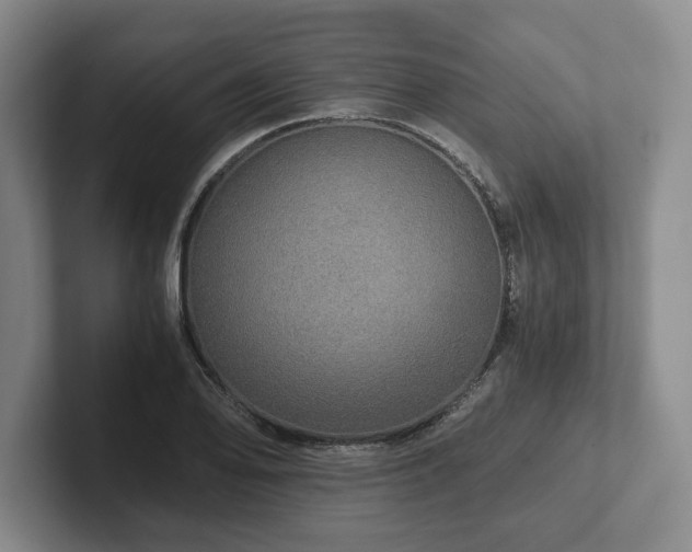 X0000101951078200807251130