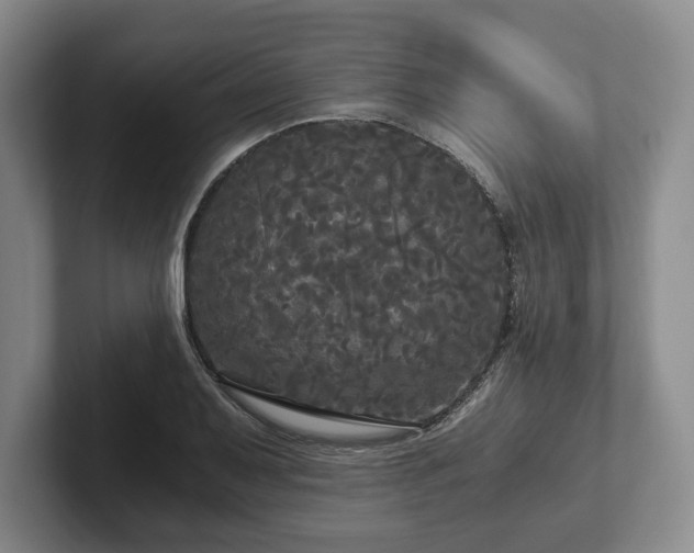 X0000101951079200807251130