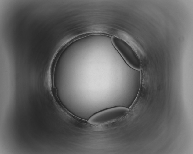 X0000101951080200807251130