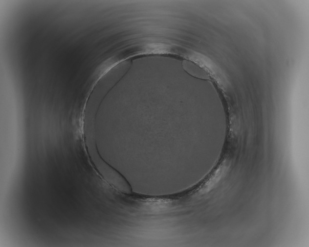 X0000101951081200807251129