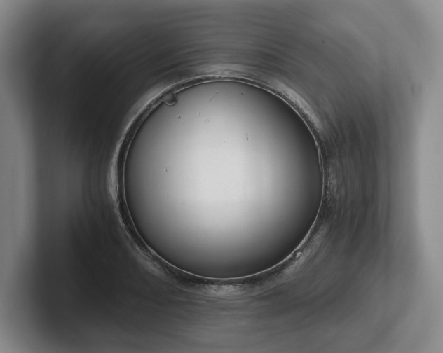 X0000101951082200807251129