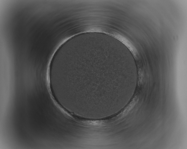 X0000101951084200807251129