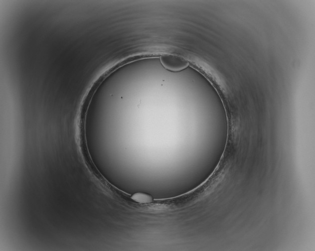 X0000101951085200807251129