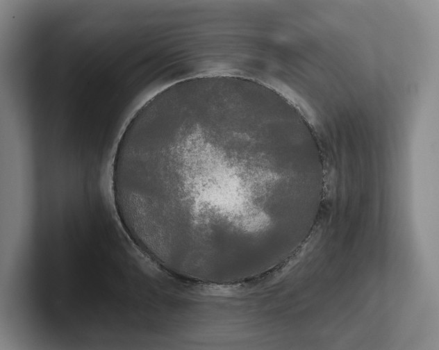 X0000101951086200807251129