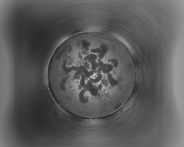 X0000101951087200807251129