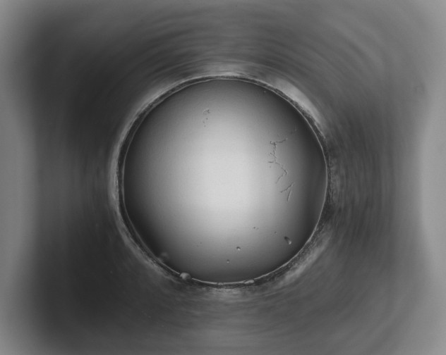 X0000101951088200807251129